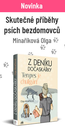 Z deníku dočaskářky